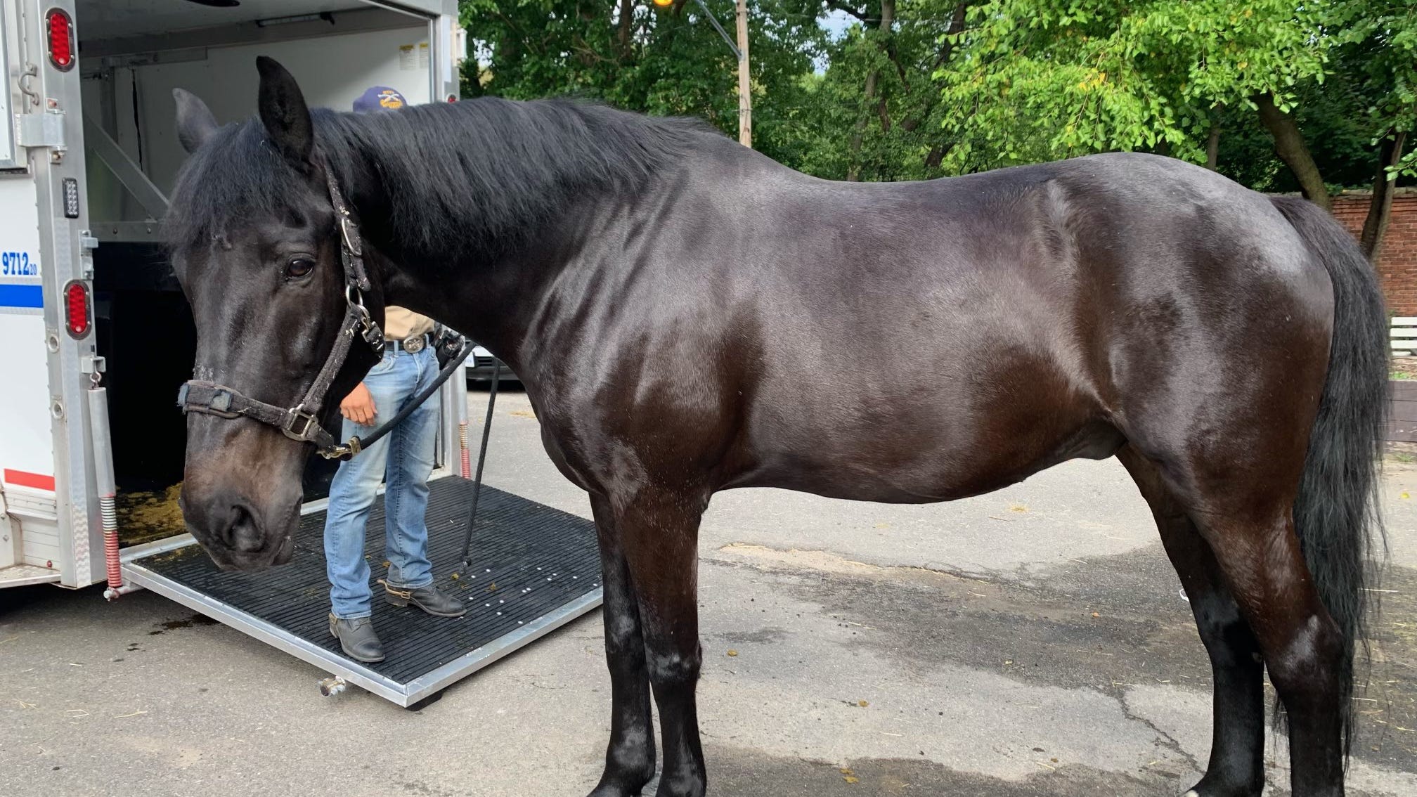Broadway is retiring! The 12-year NYPD veteran horse is hanging up his hoofs [PHOTOS]