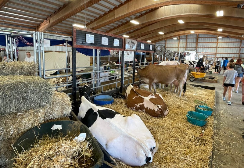 Erie County Fair