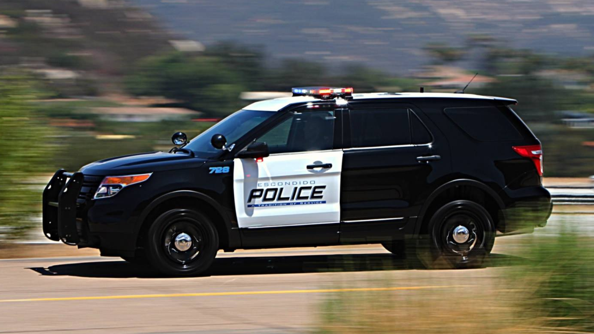 PETA boosts reward to find suspect who left dog to die in Escondido