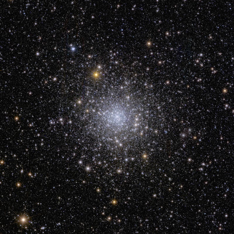 ESA/Euclid/Euclid Consortium/NASA, image processing by J.-C. Cuillandre (CEA Paris-Saclay)