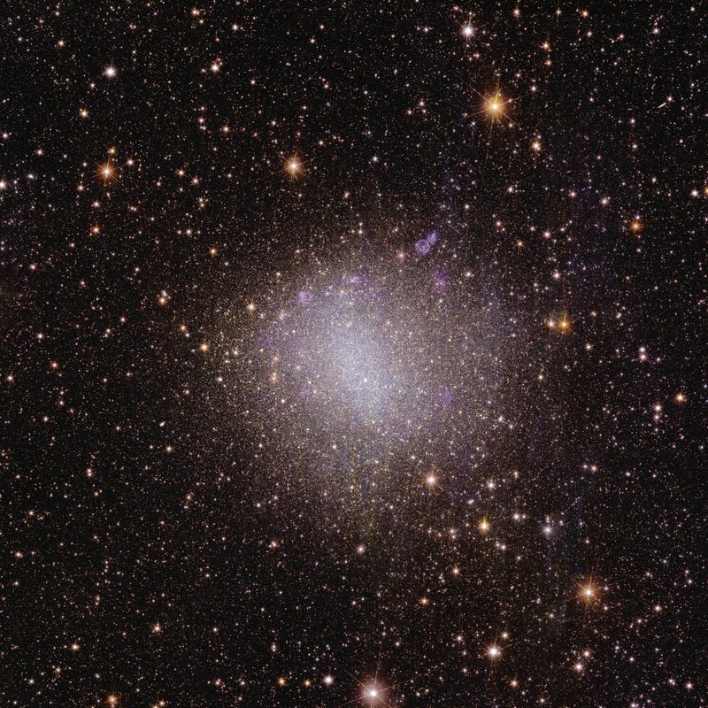 ESA/Euclid/Euclid Consortium/NASA, image processing by J.-C. Cuillandre (CEA Paris-Saclay)