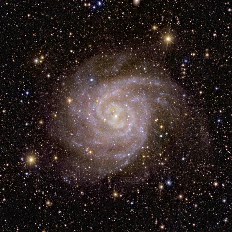ESA/Euclid/Euclid Consortium/NASA, image processing by J.-C. Cuillandre (CEA Paris-Saclay)