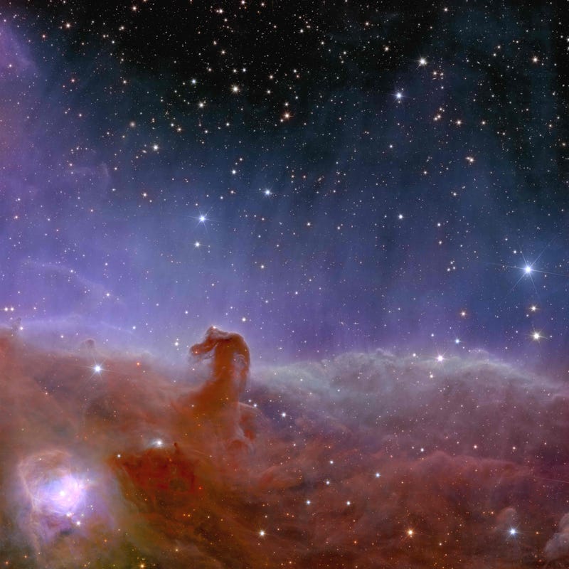 ESA/Euclid/Euclid Consortium/NASA, image processing by J.-C. Cuillandre (CEA Paris-Saclay)