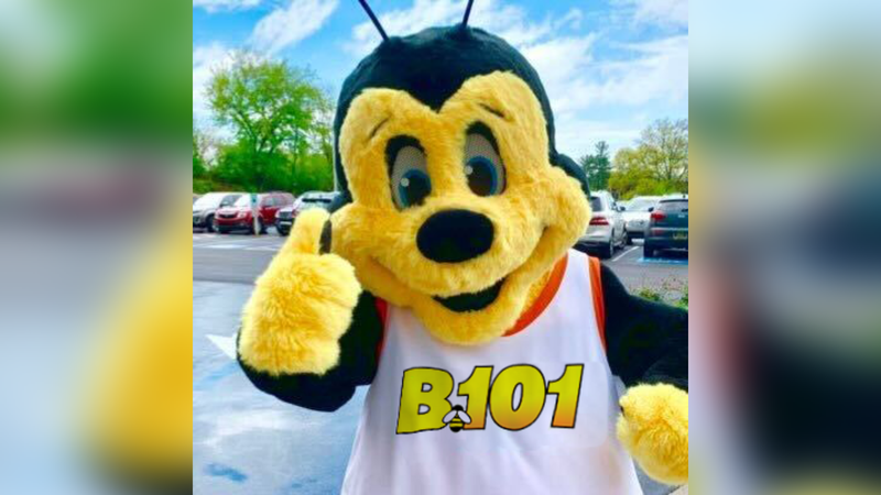 Buzzbee
