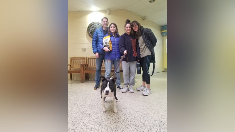 Meet Lady Bird, Bennett & Raven's PSPCA Pet of the Week