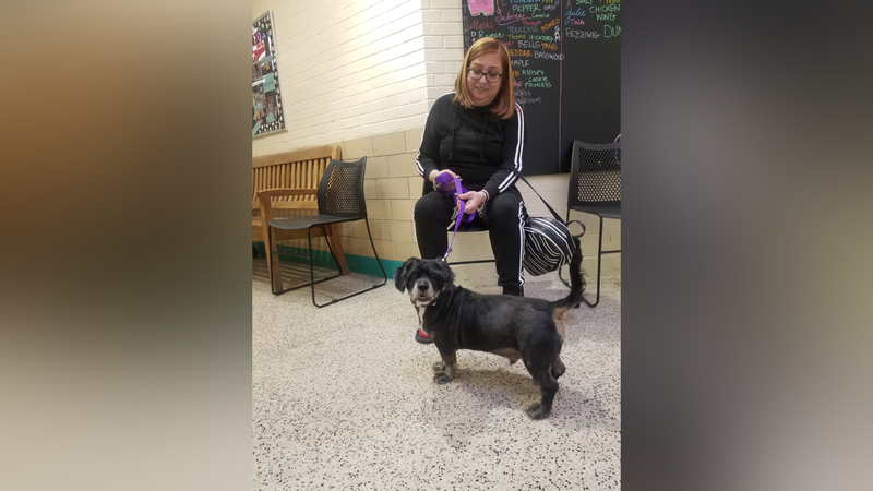 Meet Sunbeam, Bennett & Raven's PSPCA Pet of the Week