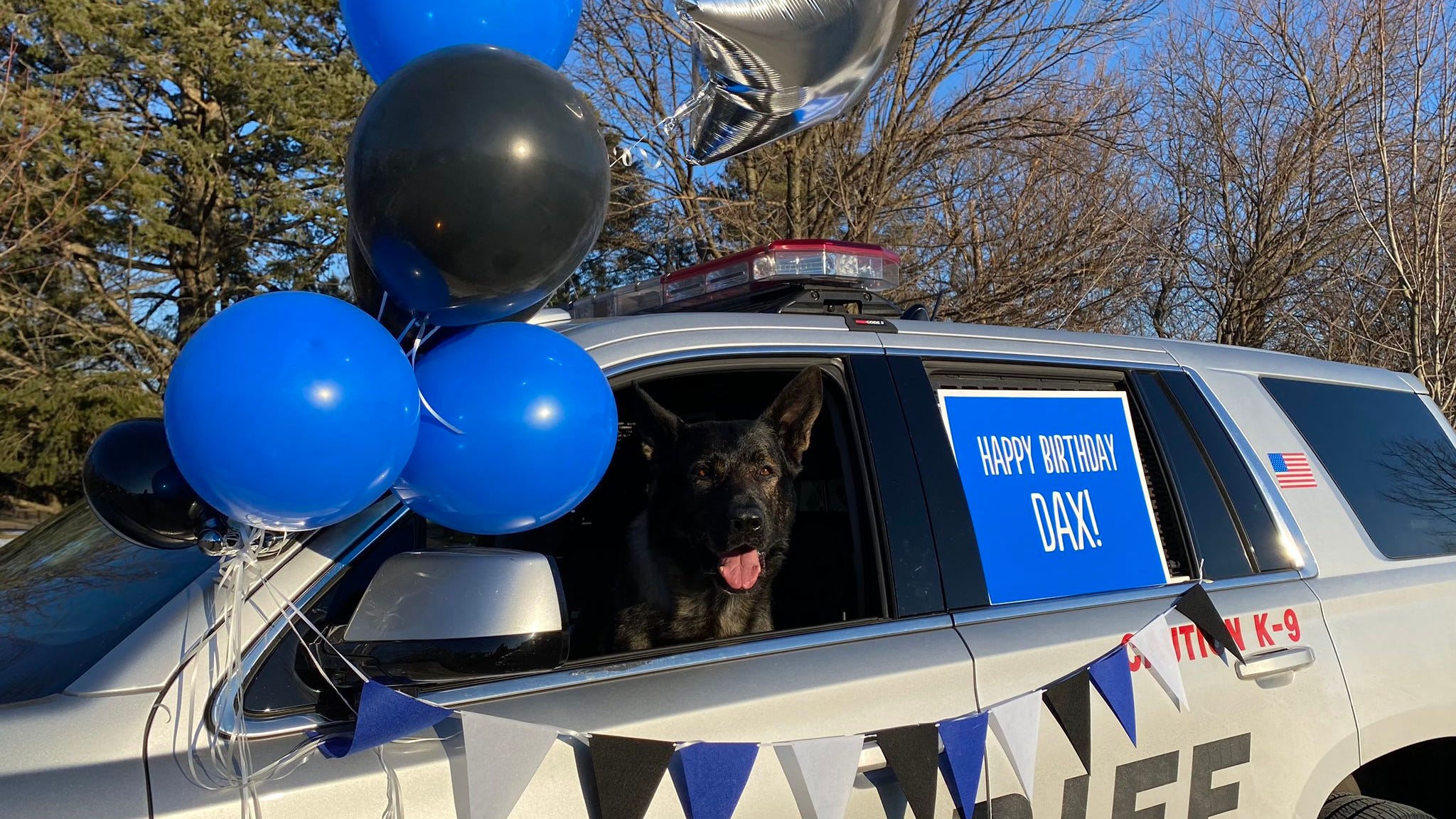 Lake County K9 Dax celebrates 7th birthday