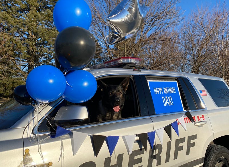 The Lake County Sheriff's Department in the north suburbs celebrated Thursday the birthday of perhaps its most famous member, who just turned 7.