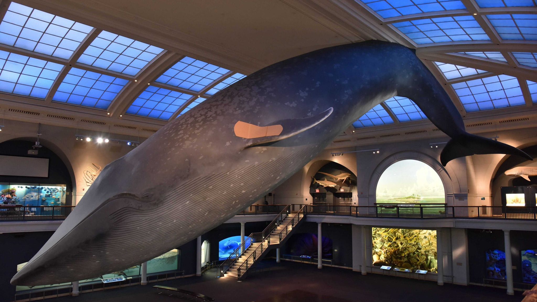 New COVID-19 vaccine site coming to American Museum of Natural History