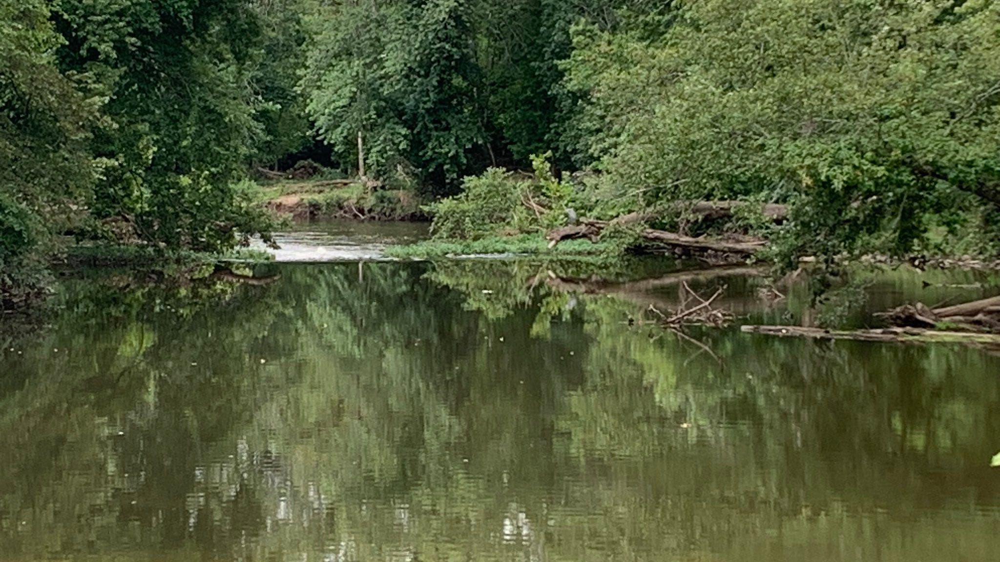 Father of 3 drowns rescuing children in NJ river