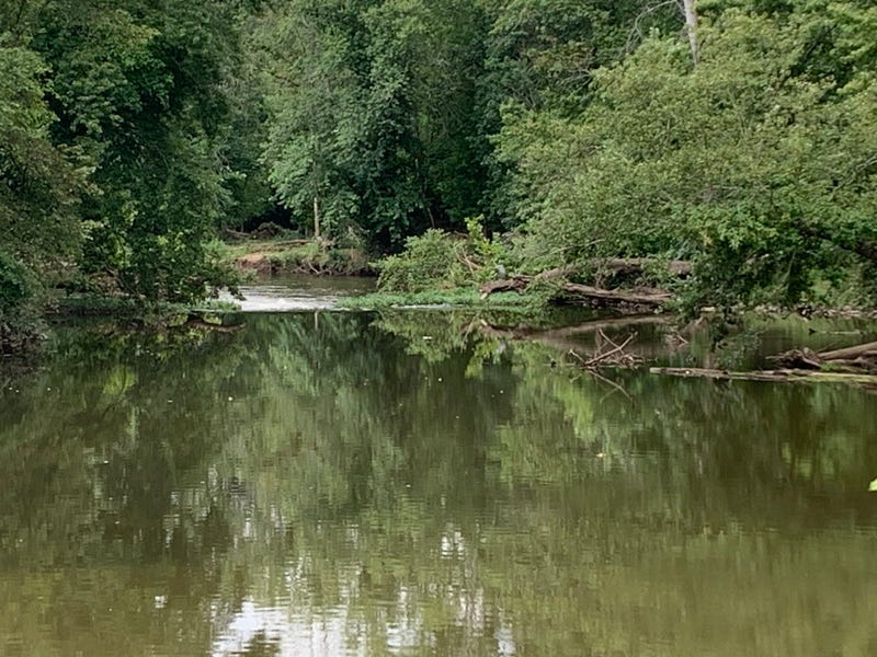 NJ River