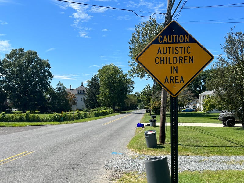 After a grandmother’s plea for action, road signs in Washington Township, New Jersey now alert drivers about children with autism in the area. 