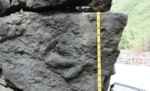 Dinosaur tracks