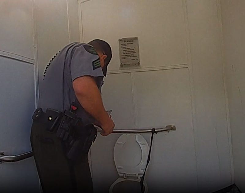 Woman rescued from Gaylord-area outhouse toilet