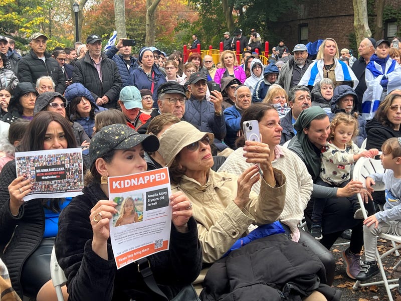 A pro-Israel protest was held in a Brooklyn playground to counteract weeks of pro-Palestinian demonstrations.