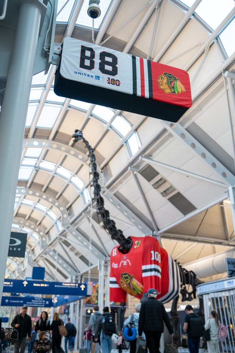 "Ernestine," the 75-foot long, towering Brachiosaurus skeleton replica in Terminal 1 at O'Hare Airport, is now sporting a Blackhawks sweater--with the number 100 on it to mark the team's centennial.