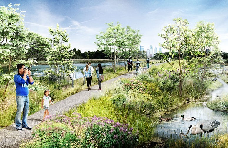 Concept art of the new wetlands to be created during the renovation of FDR Park.