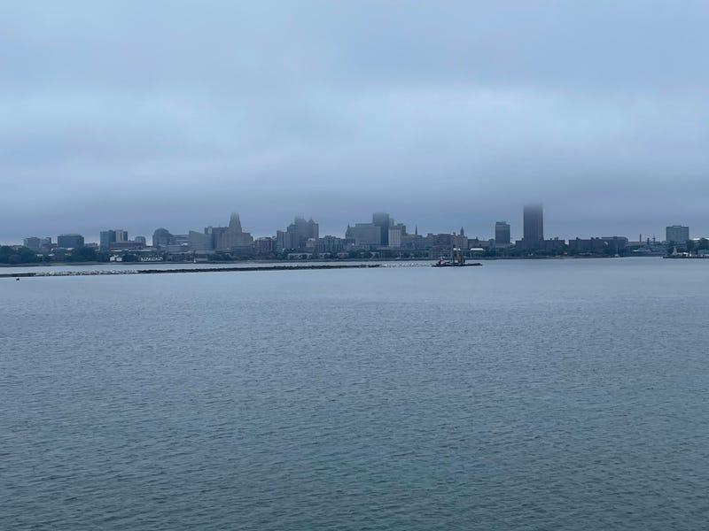 Buffalo skyline