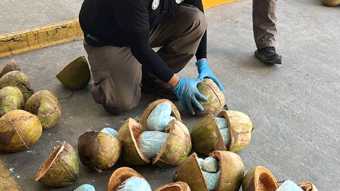 PHOTOS: 660 pounds of fentanyl found being smuggled in coconuts