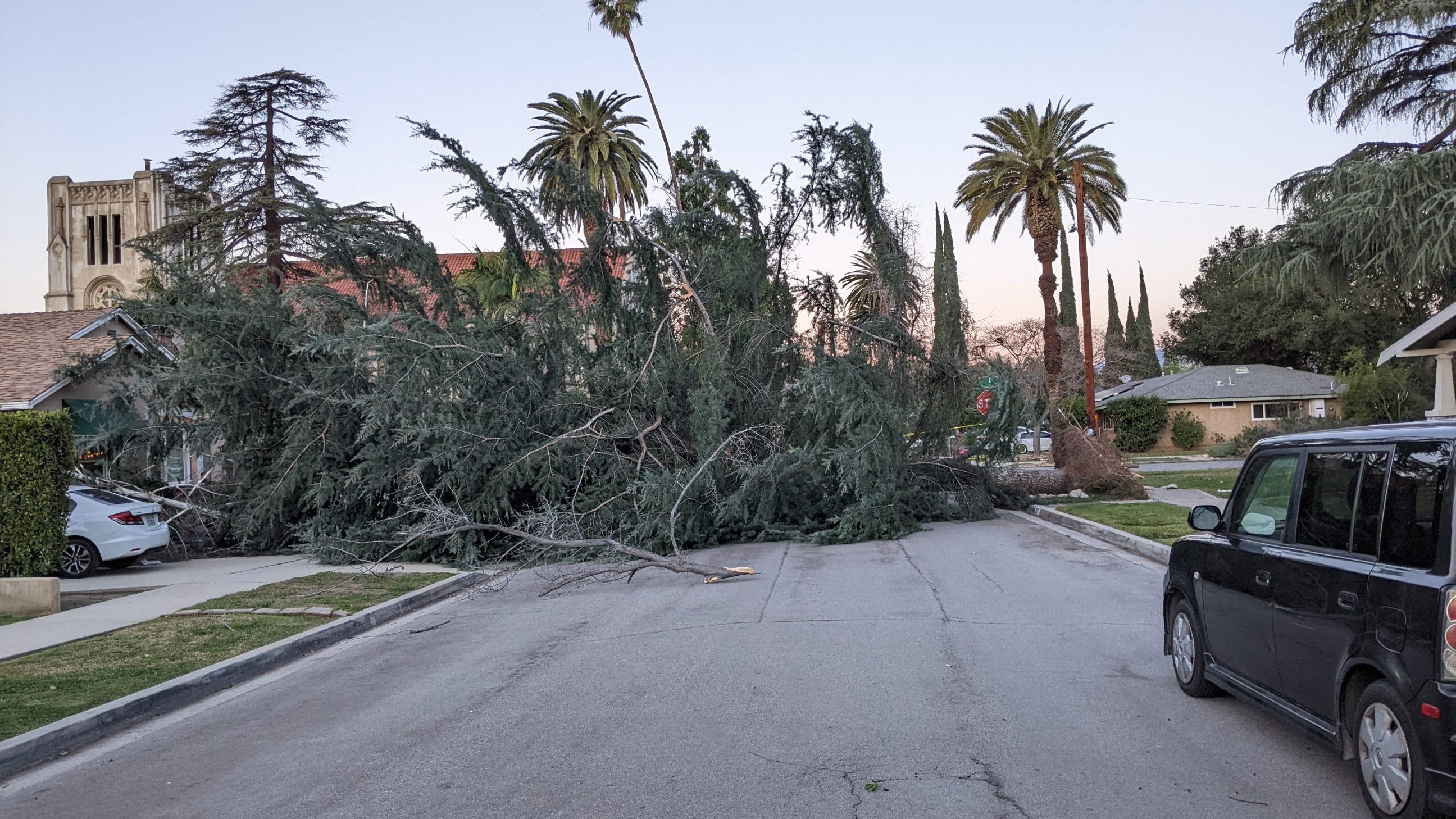 Strong winds topple trees, down power lines across L.A. County