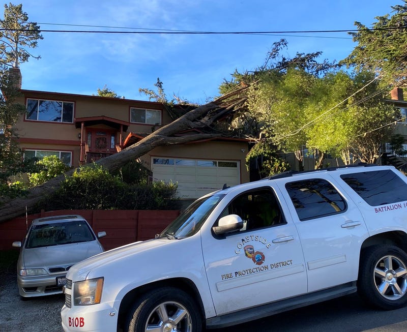 A house was damaged in Montara after a tree fell onto the roof, prompting the owners to evacuate.