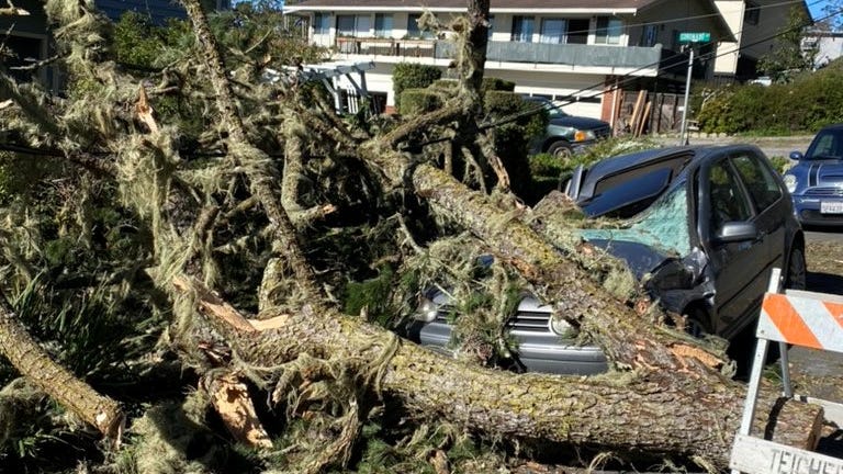 Blustery winds cause destruction in Bay Area toppling trees, closing roads