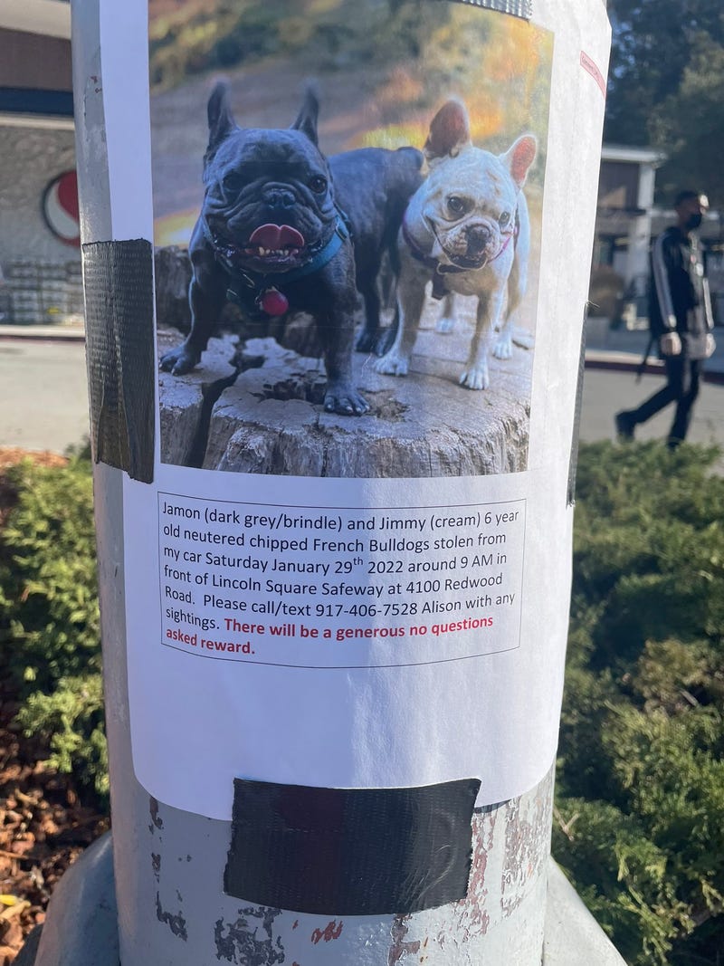 An Oakland woman is offering a generous, no questions asked reward, after her two French bulldogs were taken from the back of her car Saturday. 