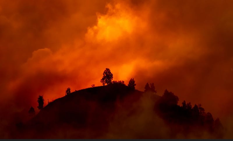 hawthorne fire