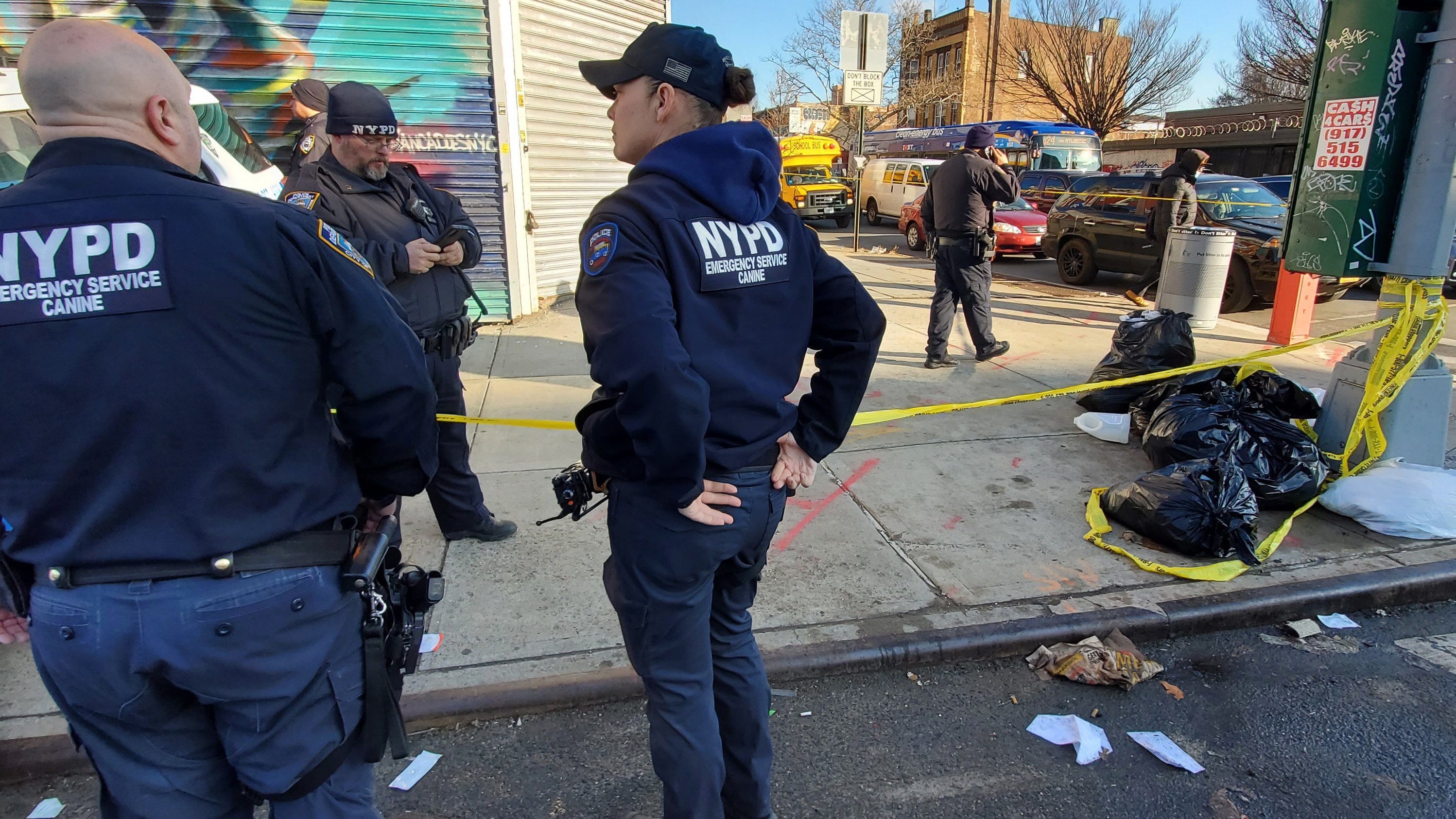 Convicted killer, 83, arrested after woman's torso found in Brooklyn