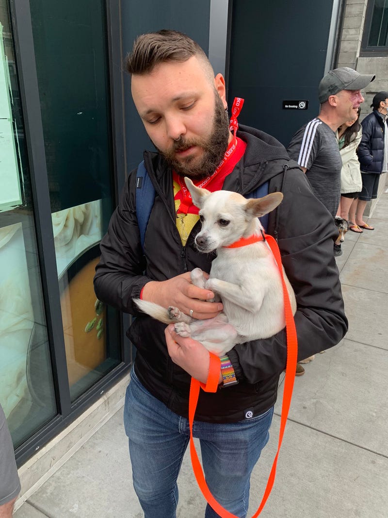 Eight pets have been rescued after an apartment fire erupted in San Francisco’s South of Market neighborhood Saturday.
