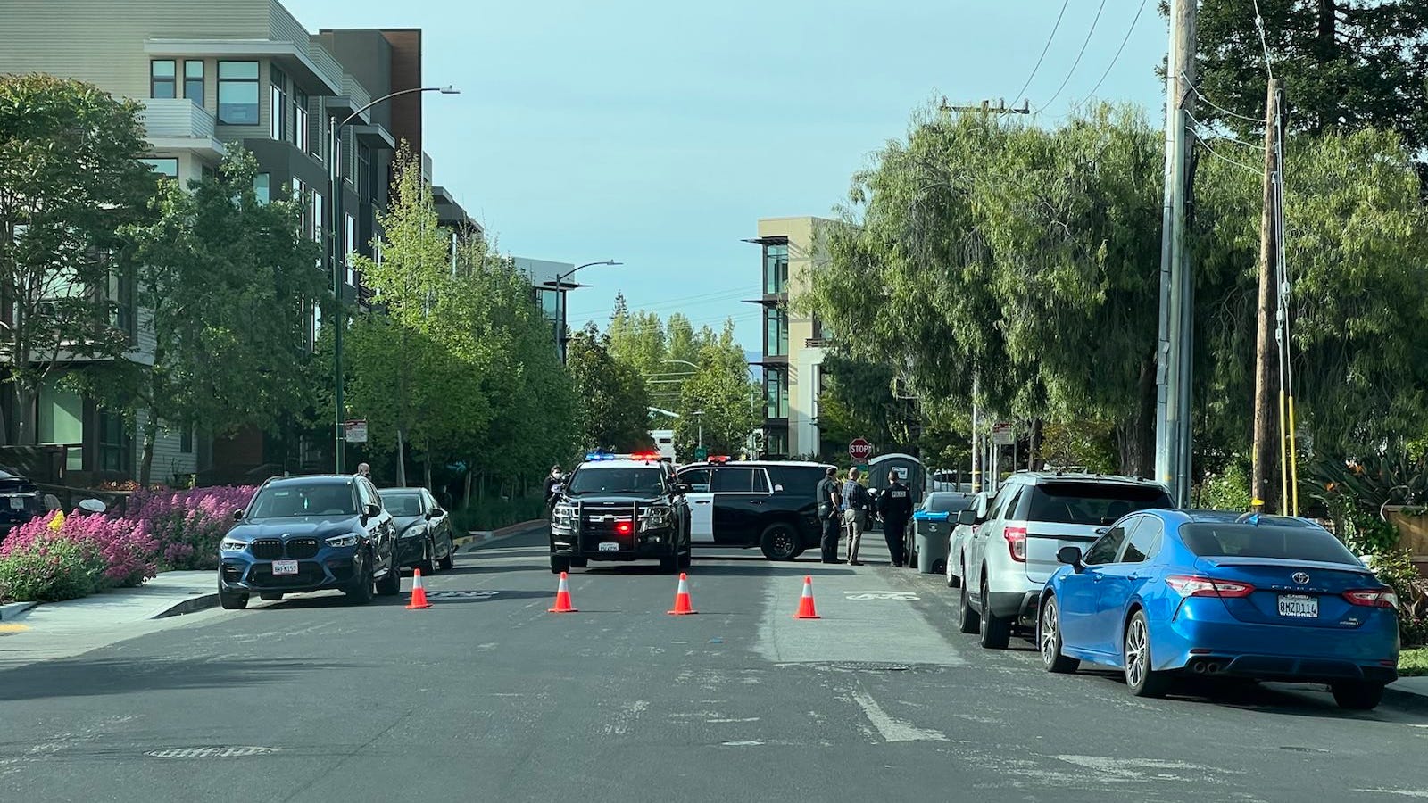 Man arrested after barricading himself at Mountain View nonprofit