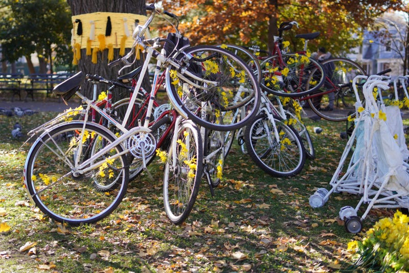 Families for Safe Streets has 27 bicycles at their Queens event in honor of the 27 bicyclists killed this year due to traffic violence.