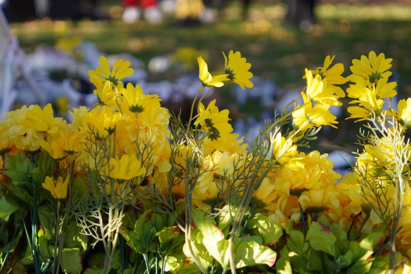 Families for Safe Streets had 3,000 flowers at their Queens event in honor of the 3,000 New Yorkers seriously injured this year due to traffic violence.
