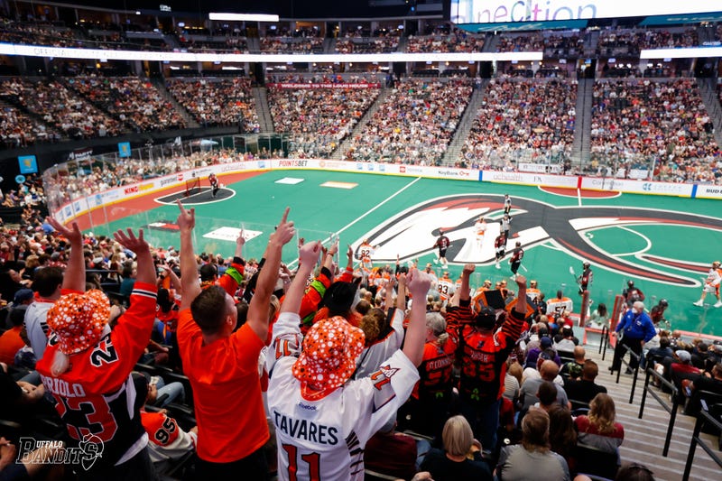 Buffalo Bandits fans