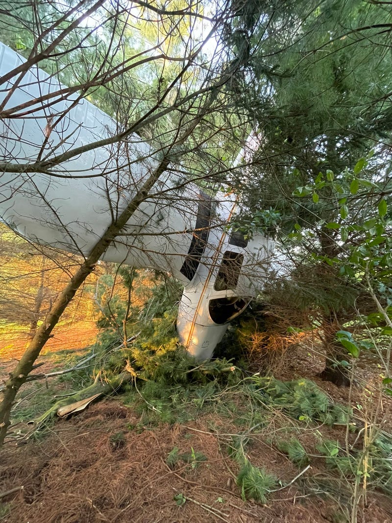 State troopers said the occupants of a small aircraft that crashed into the woods in Eaton County were lucky after they walked away from the scene with no injuries on Tuesday evening.