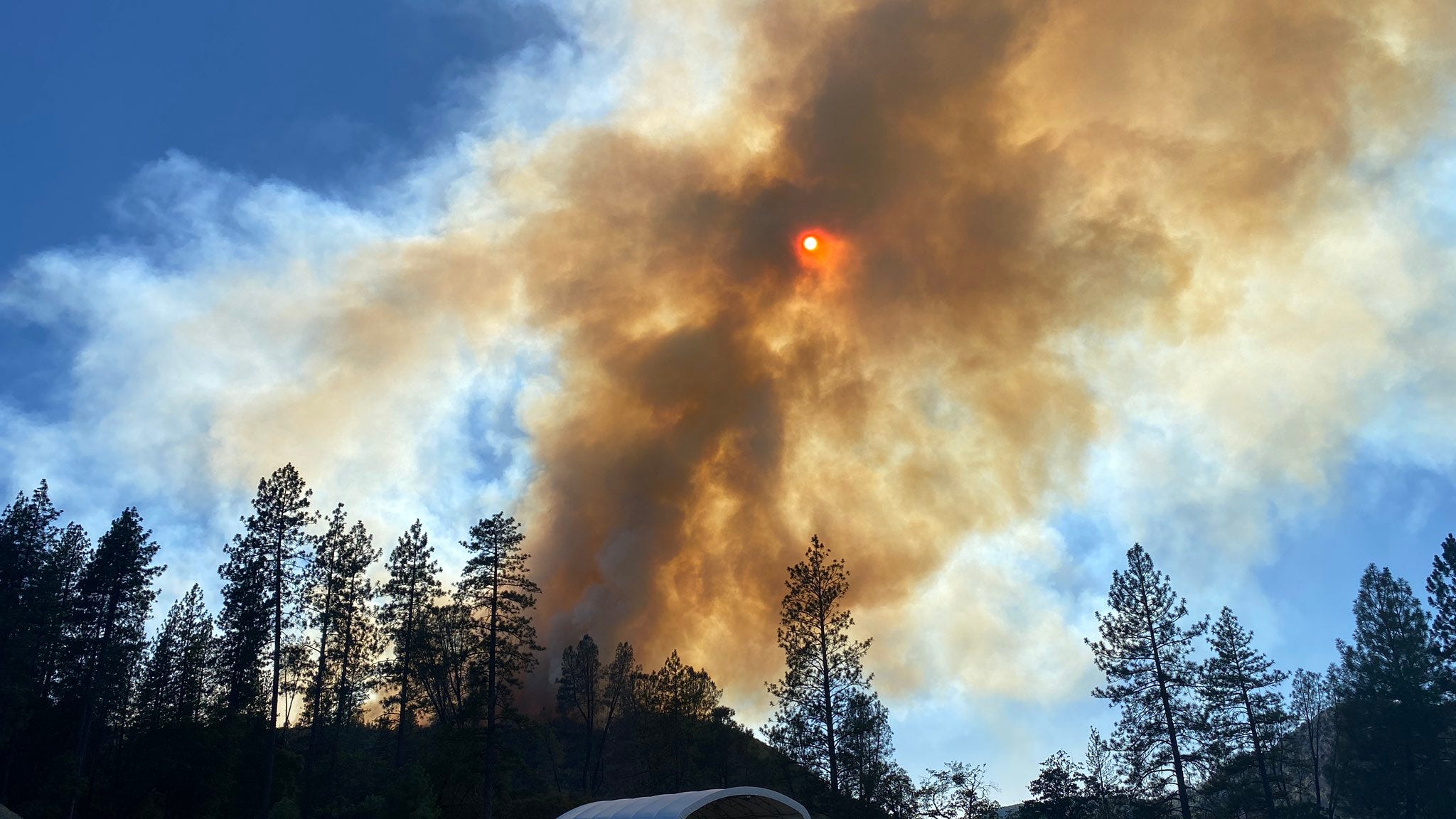 Nevada County fire swells to 769 acres overnight