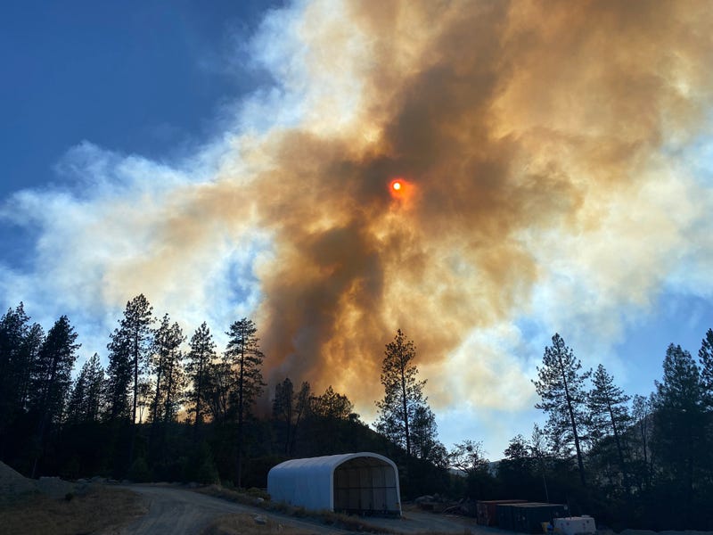 The fire has already damaged one structure and a firefighter has been injured.