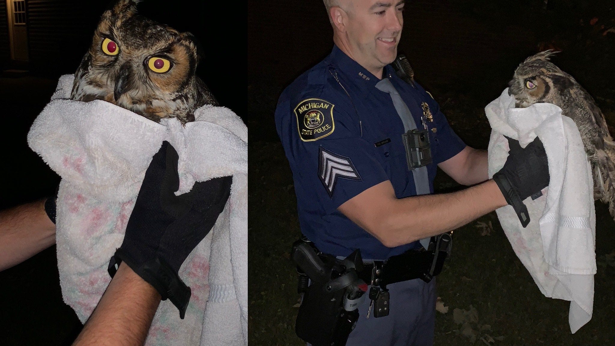 Whoooo hit the owl? Troopers stop to help injured bird in Mid Michigan