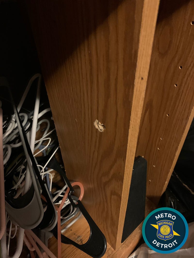 One Macomb County man is in police custody after he allegedly discharged a pistol through the wall of his home during a drunken dispute with a woman early Friday morning.