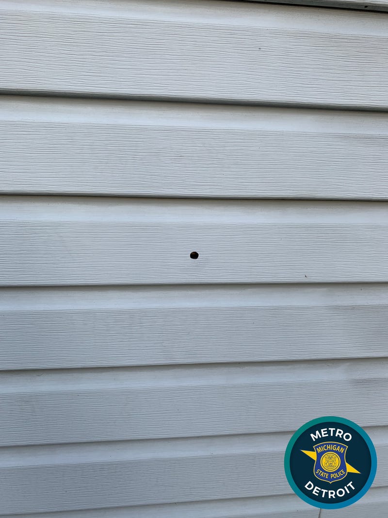 One Macomb County man is in police custody after he allegedly discharged a pistol through the wall of his home during a drunken dispute with a woman early Friday morning.