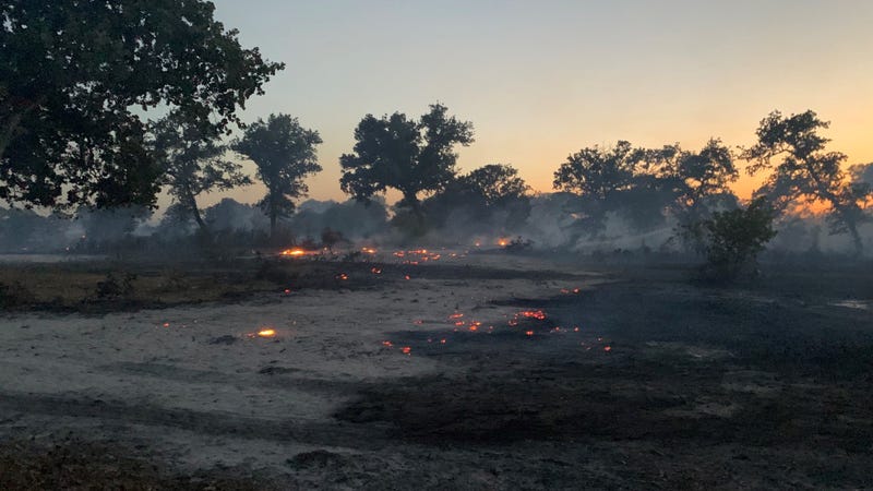 FM 969 / FM 973 Blue Bluff Fire