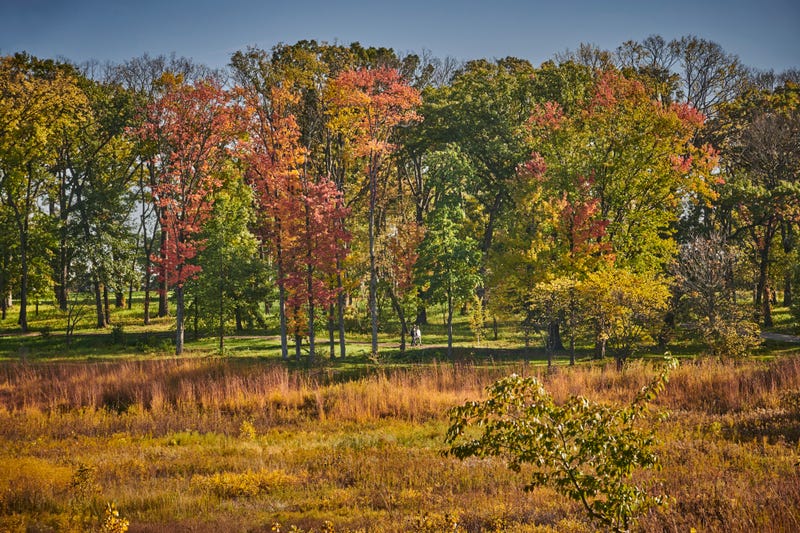 Fall 2024 colors
