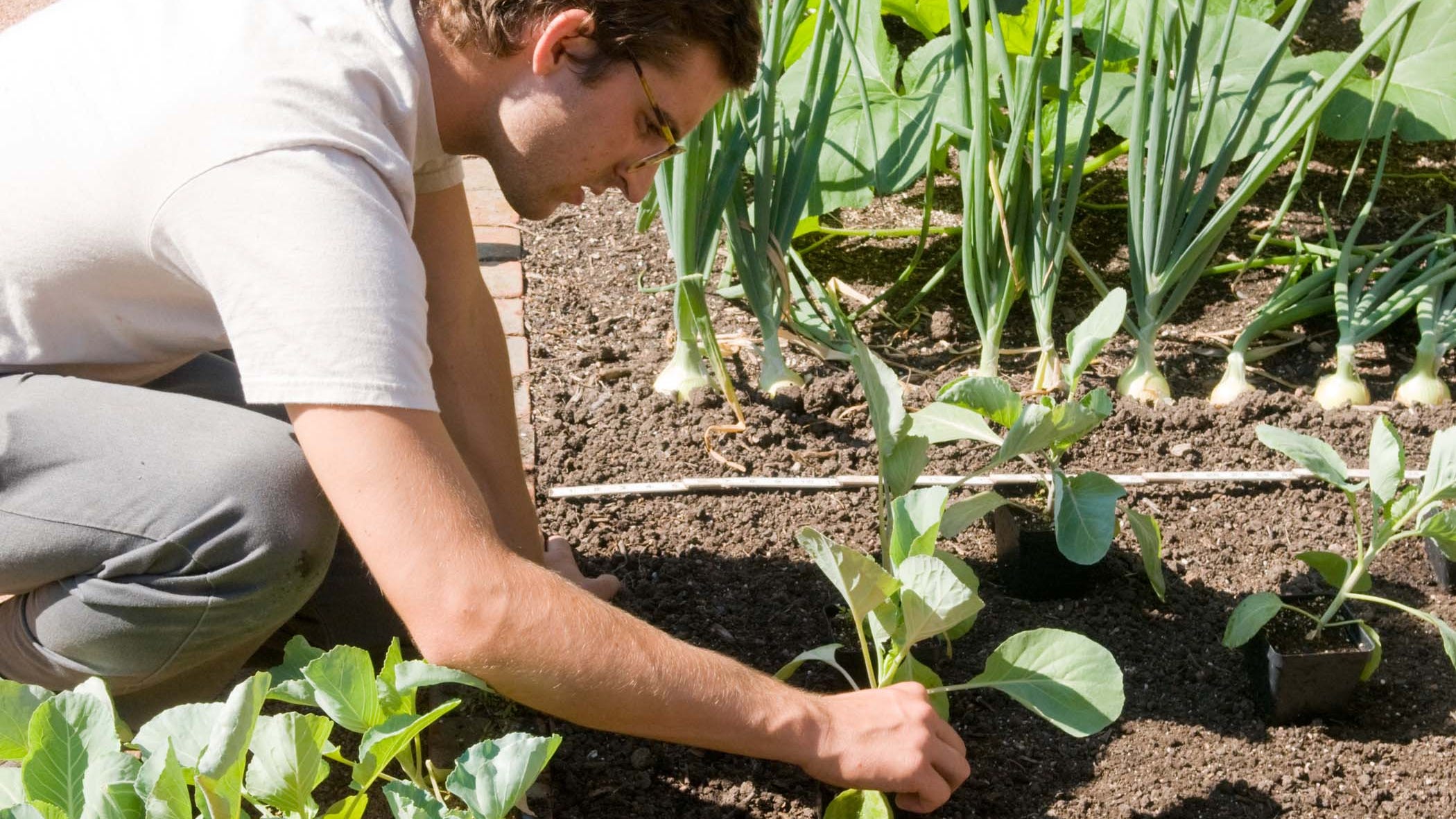 Now is the time to think about your fall garden!