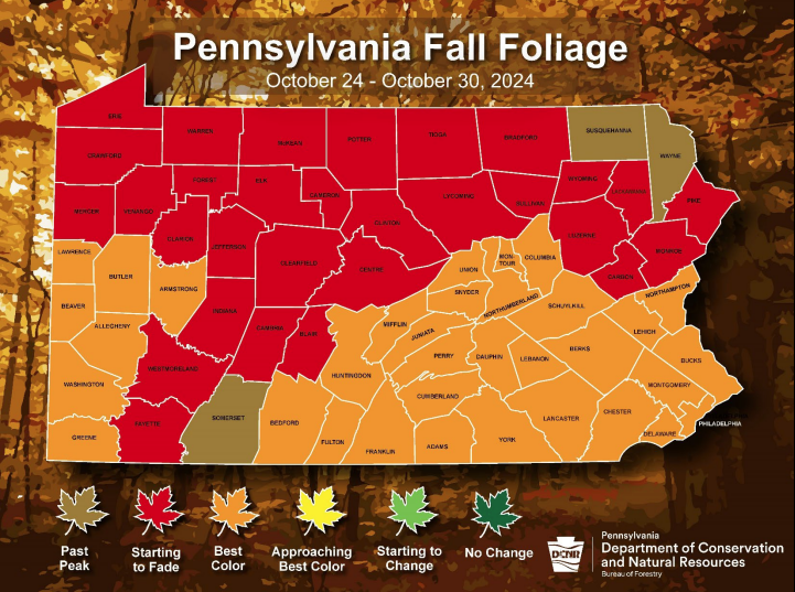 Fall Foliage Report October 24, 2024