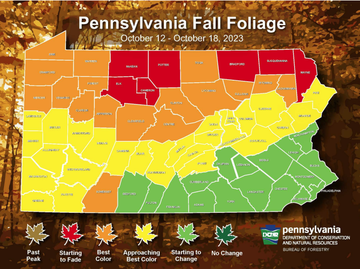 Fall Foliage map October 12-18, 2023