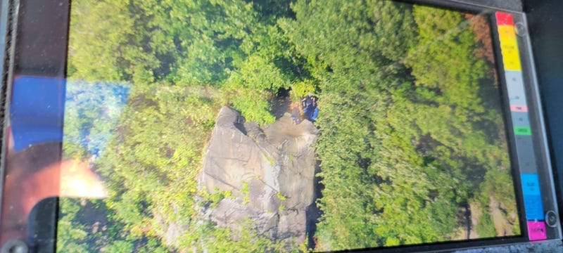 The man plunged from a cliff and was narrowly saved after a crevice filled with trees and brush broke his fall