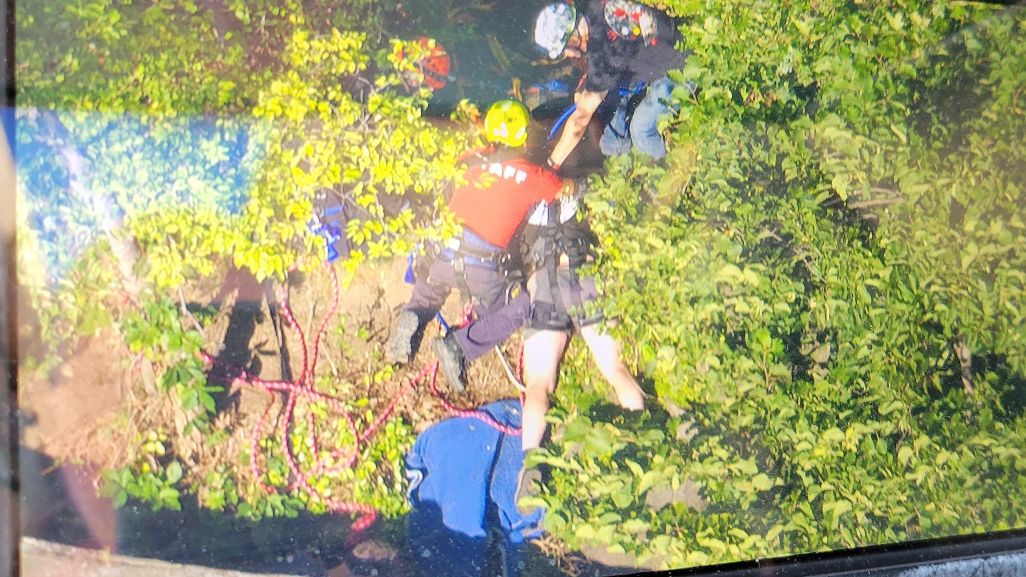 PHOTOS: Man survives NJ Palisades plunge as crevice breaks 250-foot fall