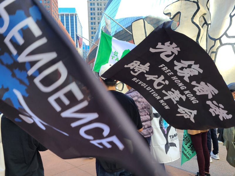 Hong Kong protesters