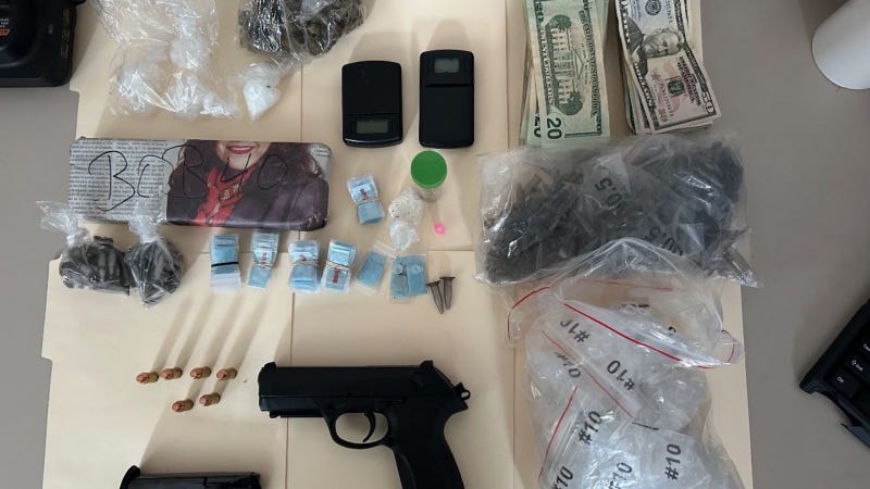 photos of the seized firearms
