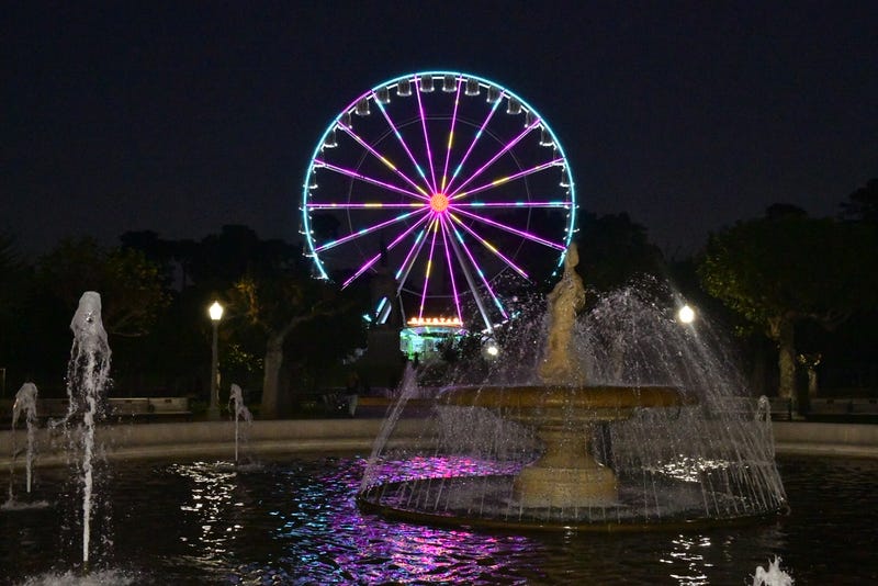 The SkyStar Observation Wheel lights up the night at Golden Gate Park.